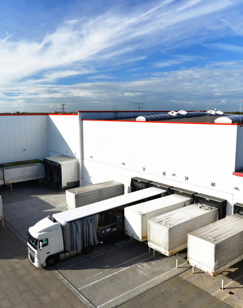 Bir başlık ekleyin (20)